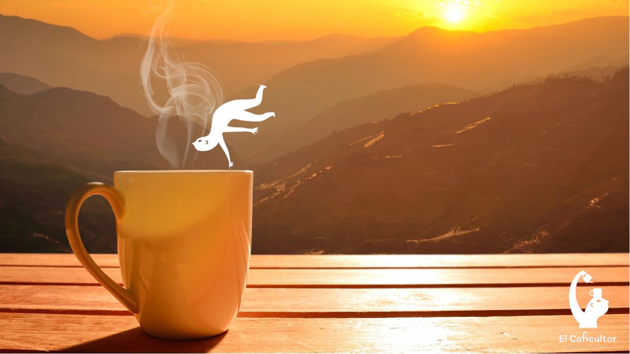 El Poder del Café en la Creatividad. Un Viaje Sensorial con El Caficultor